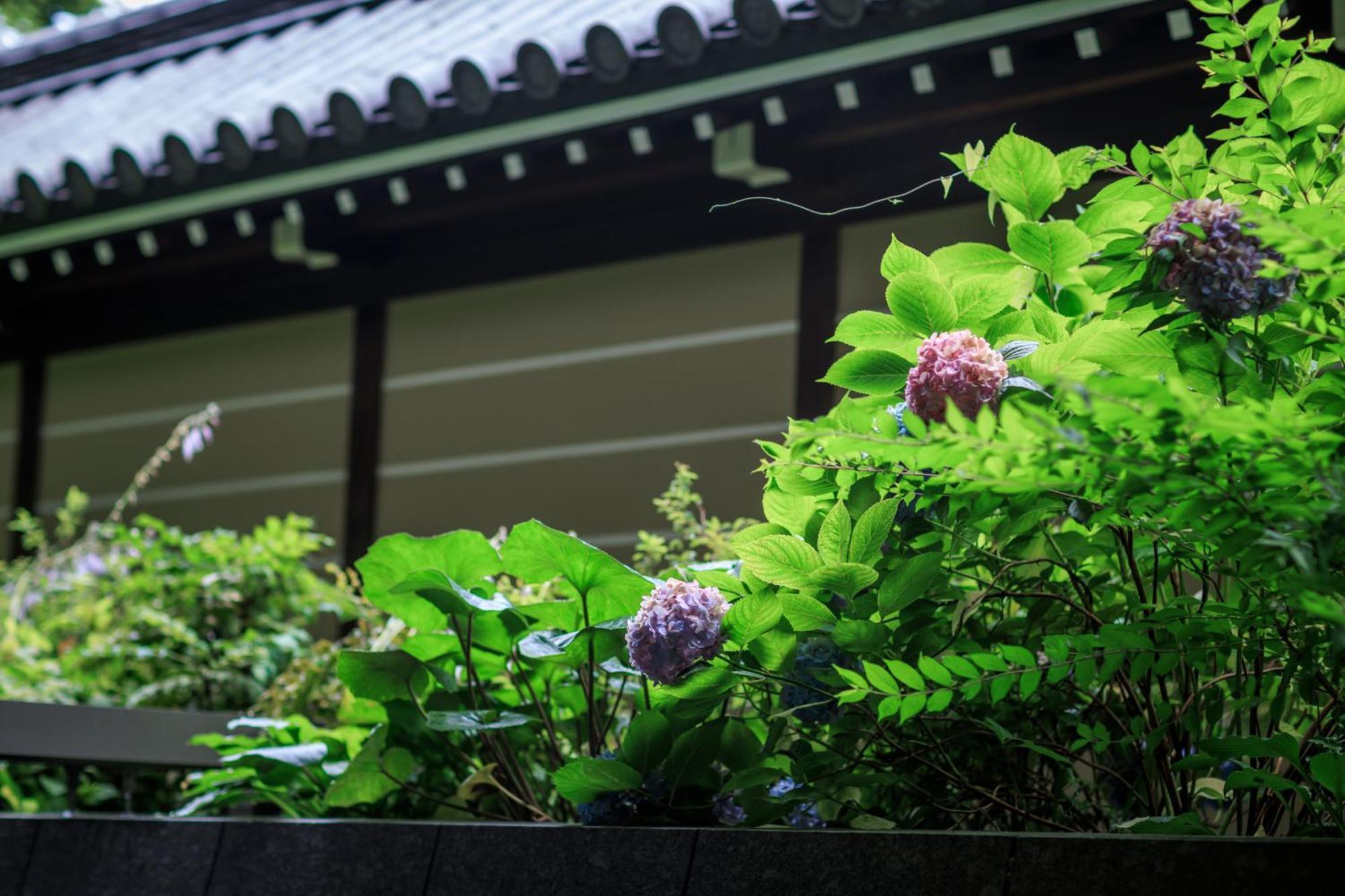 Hotel Okura Kyoto Okazaki Bettei المظهر الخارجي الصورة
